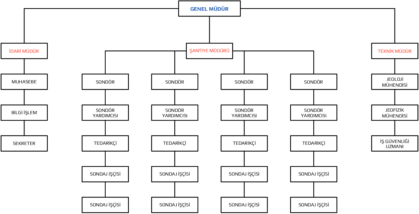 Organizasyon Semasi DEMSU